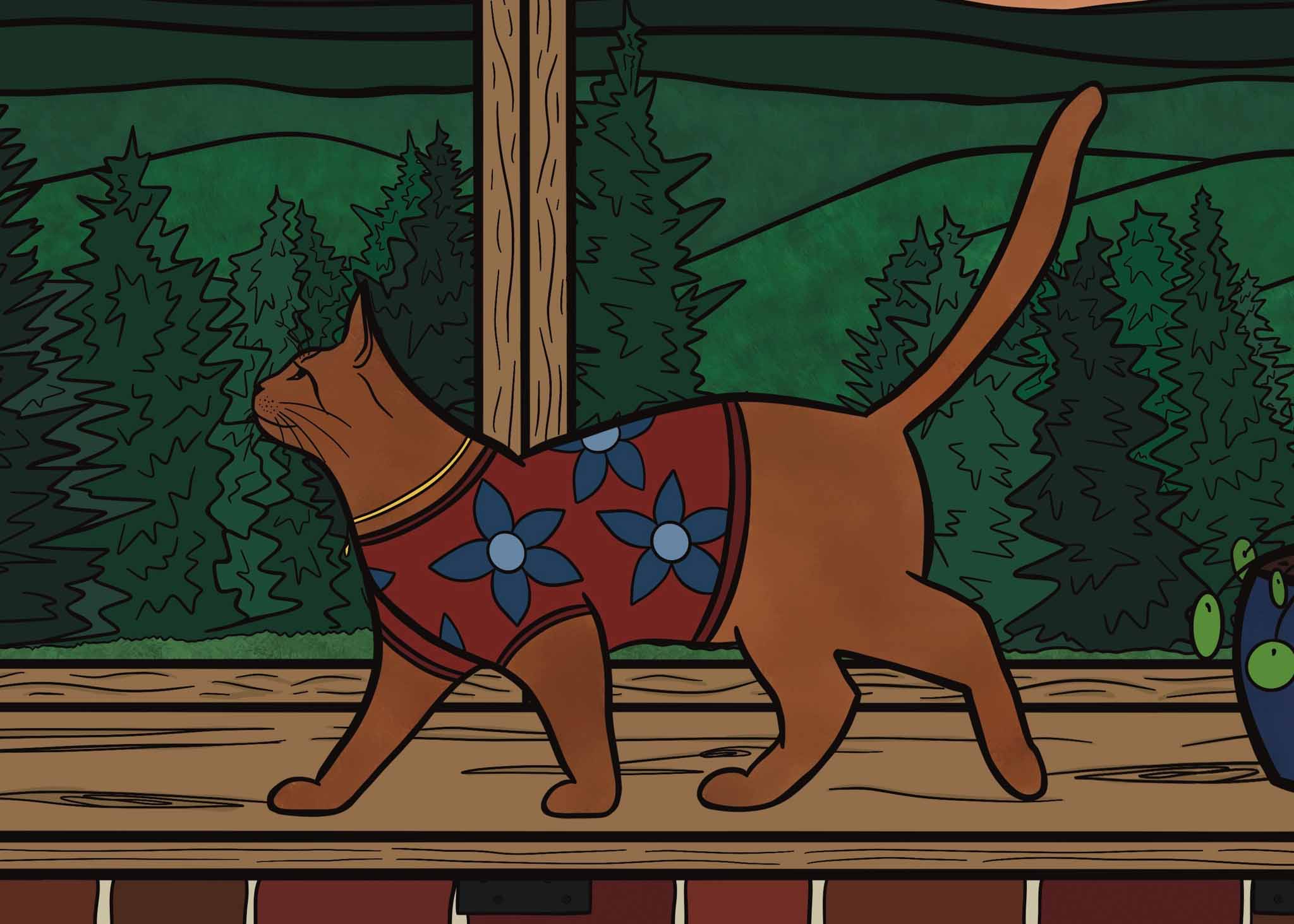 CUSTOM ILLUSTRATIONS